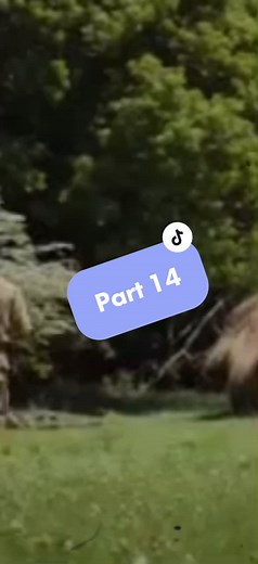 Surviving the Maze: Part 14