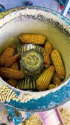 Stronger pressure, no clogging, better performance—our feed pellet mak...