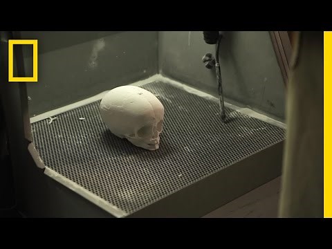 Rebuilding a 6,000 Year-Old Skull | Lost Faces of the Bible