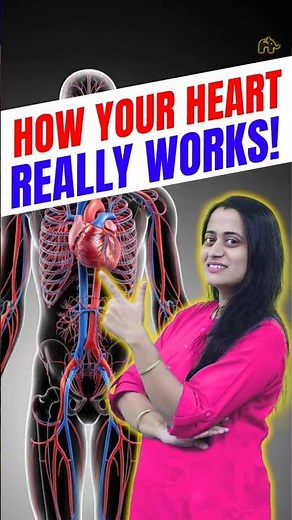 How Your Heart Actually Works ? #concepthogacrystalclear