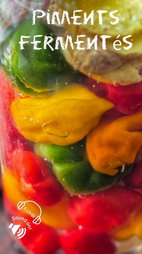 CookAndRoll.eu - Food blog | 👇👇{Recette} Piments fermentés 👇👇 J'ai trouvé de beaux piments très colorés au marché... Allez hop, en lacto fermentation pour une... | Instagram