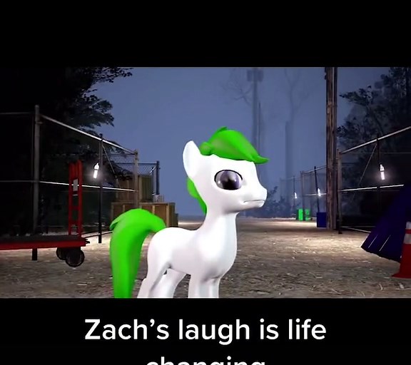 Meet Ms. Breezy: An Animal Who Lives to 86 Years!