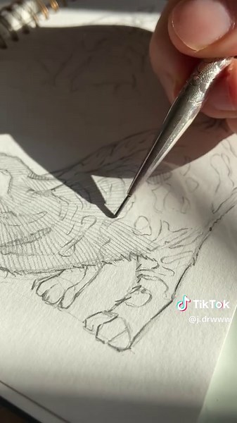 Mastering Angles in Cat Art Sketching Techniques