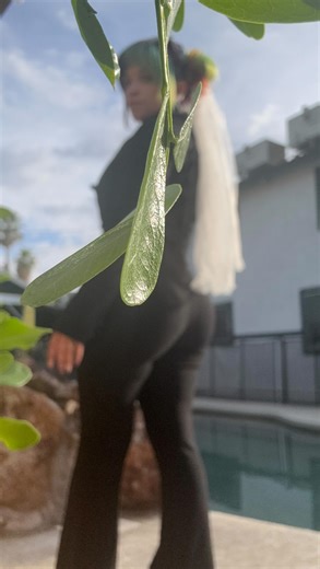 Lua Stardust🌈 on Instagram: "Day after wedding fit check ft @foxbloodshop and @vixen_by_micheline_pitt 🤍"