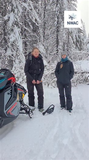 Northwest Avalanche Center on Instagram: "12/21/25: Pro Observation: East Central: Payton Schiff and Katie Warren Our efforts to troubleshoot a down weather station were thwarted by numerous downed trees and heavy wet snow that made for really tough off trail riding conditions today. It was a stark reminder of how impactful recent weather has been across the state. The good news is there is quite a bit of snow out there now in many places already. We found close to 1 meter at lower elevations! T