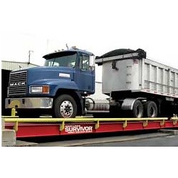 Rice Lake SURVIVOR OTR Steel Deck Truck Scale