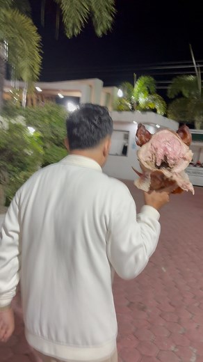 6.9K views · 191 reactions | No Plastic, no problem May ulam na ang Pamilya ko Araw-araw Sipag lang #takeout #fypviralシ #trendingreelsvideo #lechonbaboy #fypviralシ #lol #reelschallengereelschallenge | Emmanuel Britanico Arangale | Facebook