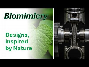 Biomimicry: Mini-documentary by Veo 2 and Azure OpenAI