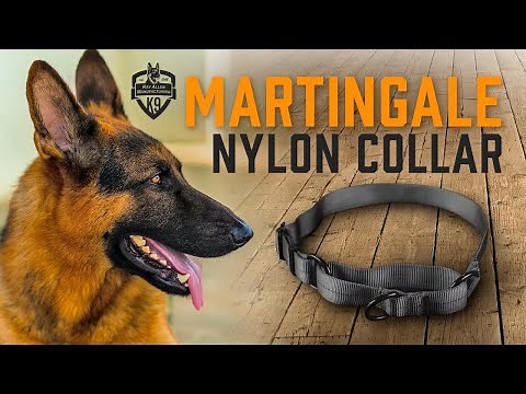 Martingale Nylon Dog Collar
