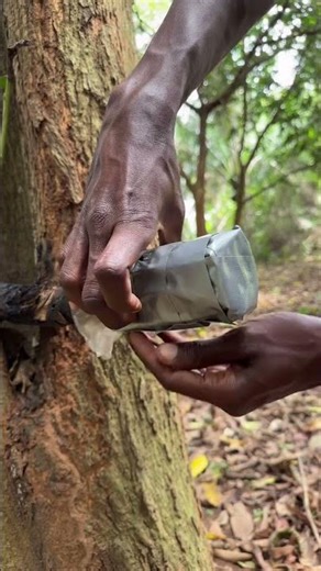 Crafting a DIY Cup from Nature's Resources