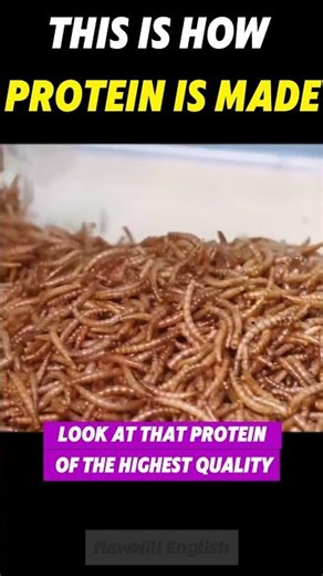 This is how protein powder is made