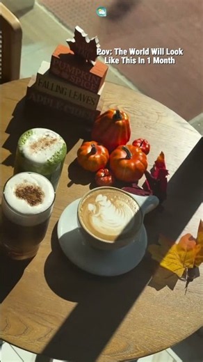 Embrace fall with real-time radar, hourly forecasts, and iOS lock screen updates | WeatherMate