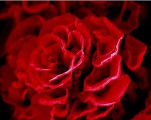 Nanoscale "What Is It?" quiz