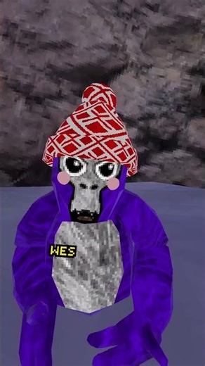 GTAG Social Experement TEAM A! #gtag #vr #gorillatag