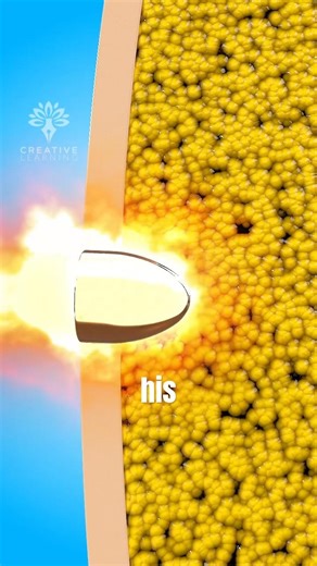 Can Belly Fat Save Your Life? 😮 (Real Trauma Case)