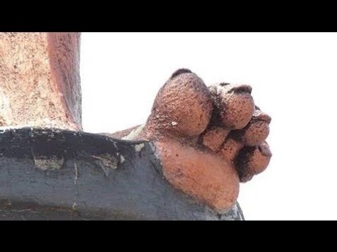 Ku Kirenge cya Ruganzu: Umurage Udasanzwe w’Umwami Ruganzu II Ndoli