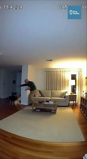 German Shepherd Drags Owner to Safety Seconds Before Entire House Collapses