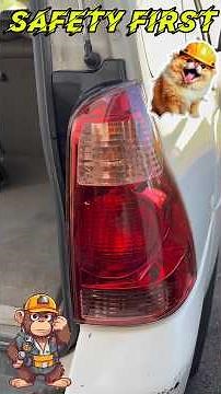 2003-2009 Toyota 4Runner Tail Light field test after replacement.