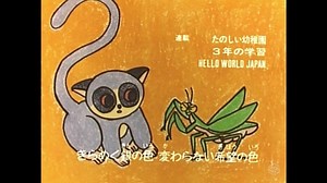 大草原の小さな天使 ブッシュベイビーＥＤ