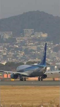 粘る機首上げ ANA 737−800 #Shorts