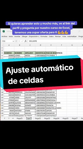 Ajuste automático de celdas en Excel: Trucos y consejos
