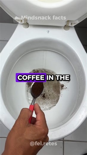 11K views · 120 reactions | No one knew this until today… ✨ Put Ground Coffee in the Toilet and See — some of the most surprising cleaning tricks and natural deodorizing hacks come from simple everyday ingredients… and most people never discover them. But once you learn them, everything changes.  #MindsnackFacts #DidYouKnow #HomeHacks #NaturalRemedies #fblifestyle | Fel Retes | Facebook