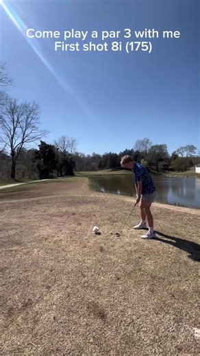 #fyp #golf #par @ahiggsy10 Quick par 3 at Meadow Creek