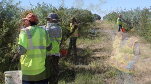 13K views · 248 reactions | NAPI's Conservation Department is...