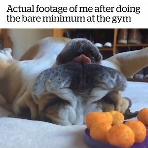 190K views · 1K reactions | This is so relatable 藍 | Twisted Explore | Facebook