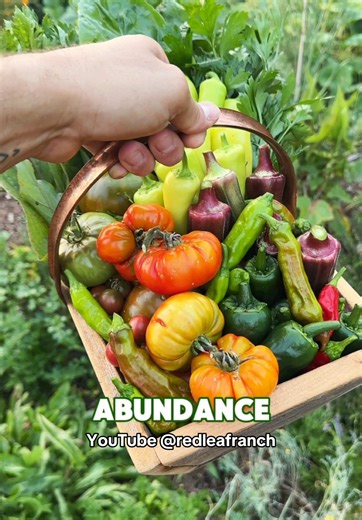 Creative Vegetable Garden Ideas for Abundant Harvests