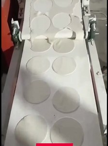 Automatic papad making machine 📲📞☎️ 91 91111 56620 | Punjab Engineering Corporation