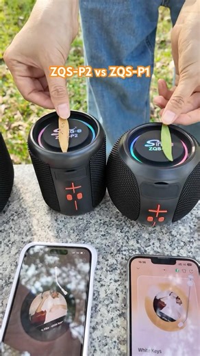 ZQS-P1 vs ZQS-P2 real sond testing