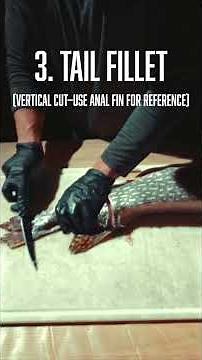 TUTORIAL: Pike 5 Cut Boneless Fillet