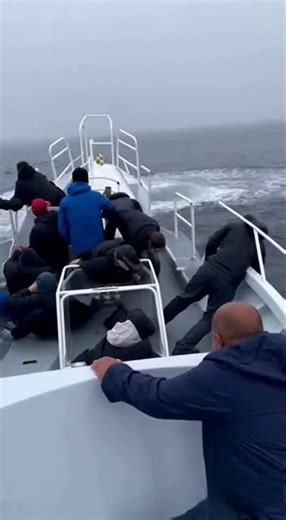 Whale Breaches Beside Our Bow and Slams a Wave Over the Front Deck