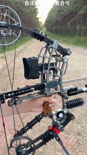 Compound bow with full accessories🎯🏹 #compoundbow #archerygear #huntinggames #archerygame