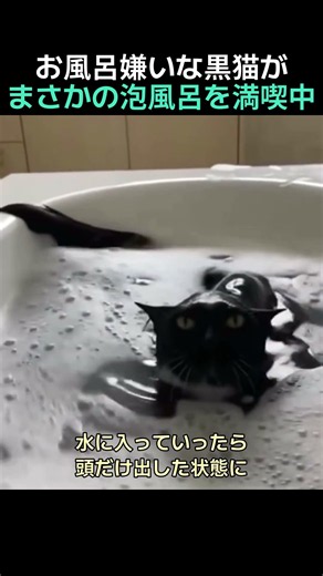 ❤️110万❤️お風呂嫌いな黒猫がまさかの泡風呂を満喫中