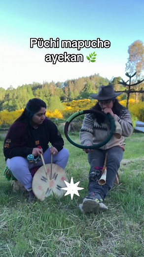 Música Mapuche: Ayekan y sus Instrumentos Tradicionales