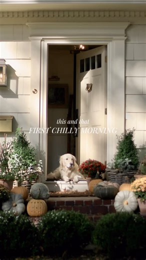 JSH Home Essentials | when the air is so crisp ☕️ The JSH Fall Collection is now live 🍂🍂🍂 | Instagram