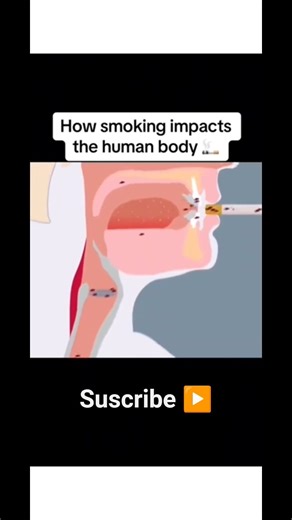 3d animation of smoking effects on lungs #animation #smokingcigars #awareness