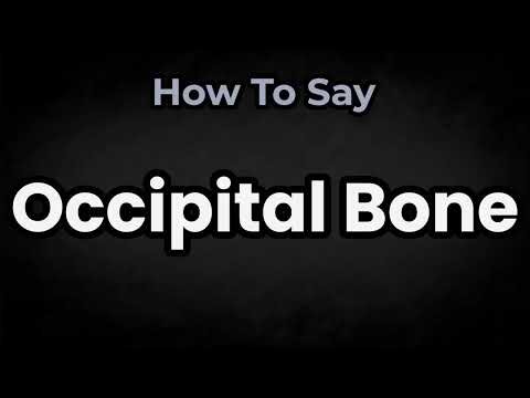 How To Pronounce Occipital Bone? (CORRECTLY) Meaning & Pronunciation
