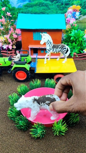 Mini Water Pump Hand Project Scene | DIY Mini Water #shorts #waterpump