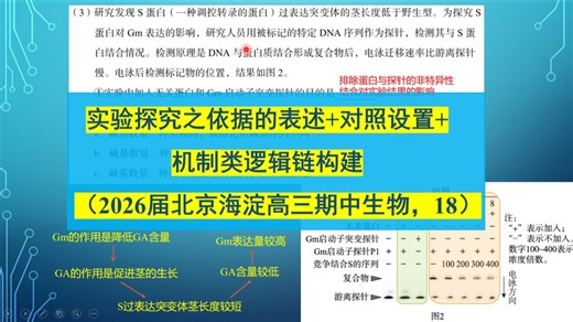 实验探究之依据的表述 对照设置 机制类逻辑链构建（2026届北京海淀高三期中生物，18）