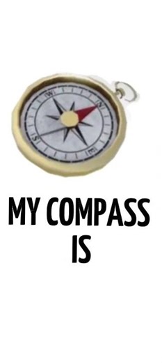 COMPASS ANIMATION EDIT 🧭🌌🌆