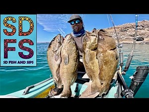 Golden Reef Leopard Grouper (Cabrilla Sardinera) Fishing | Solo Skiff Baja California Sea of Cortez
