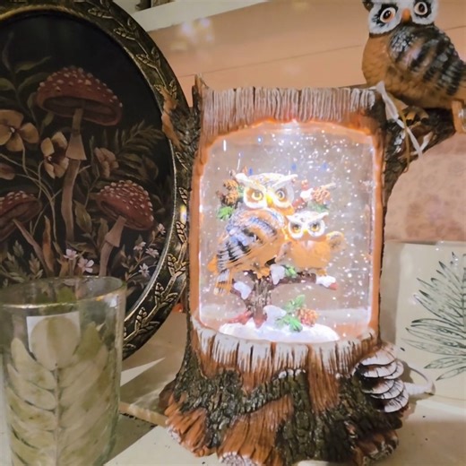 1.4K views · 24 reactions | The swirling magic of Christmas is usually filled with Santas and sleighs.... but these wise owls are gonna stay out all winter long! #brockportgardencenter | Sara's Garden Center | Facebook