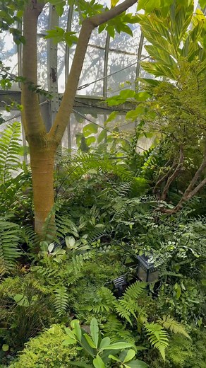 I need this in my backyard, and someone to maintain it, so I can just enjoy the peace. | Darren Matthews
