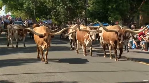 Greeley Stampede announces parade grand marshals