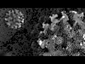 Coronavirus cases in Michigan more than double in 24 hours