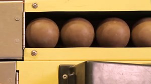 Daytona Beach, Florida Attractions | Activities & Things to Do