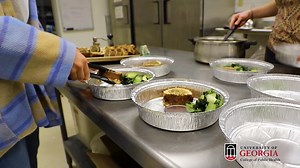 Finding Purpose Fighting Food Insecurity